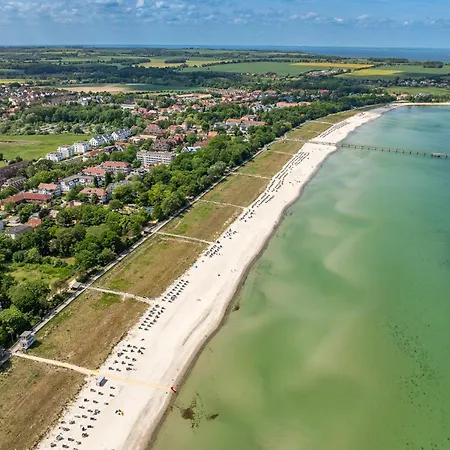 Likedeeler Ii 01 * בולטנהאגן